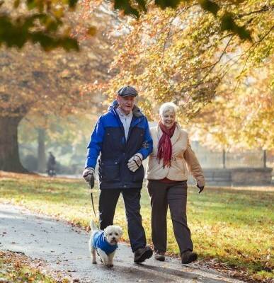 An older couple walking their dog in a park